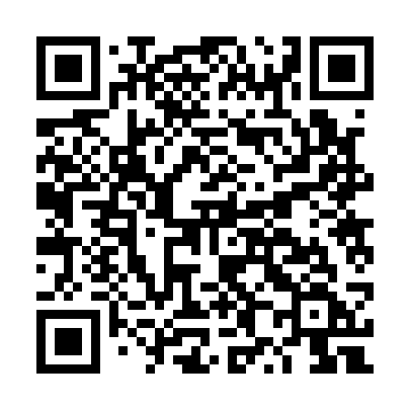 QR code for DX213F