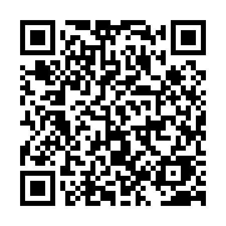 QR code for DZ913E