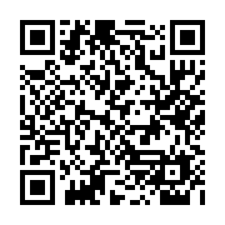 QR code for DZO29F