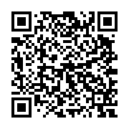 QR code for DZUT96