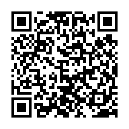 QR code for DZZV11