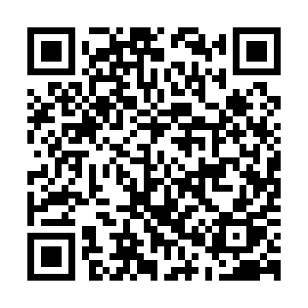 QR code for E0111P