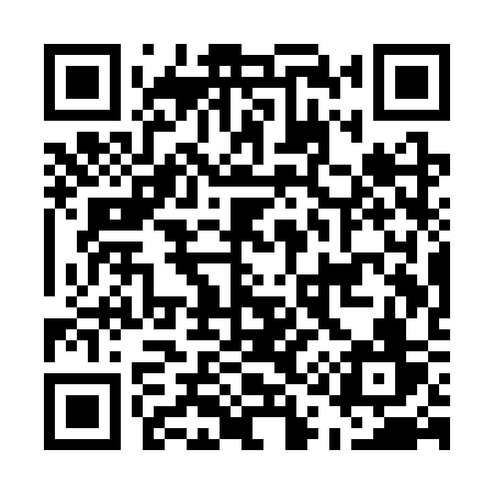 QR code for E11SSV