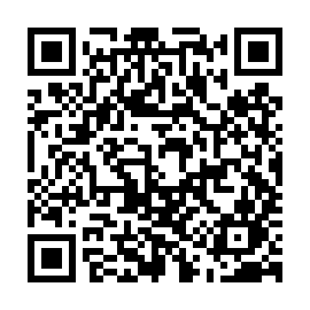 QR code for E12DYN
