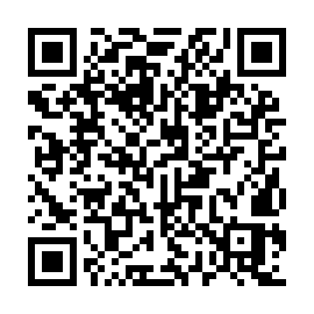 QR code for E229MS