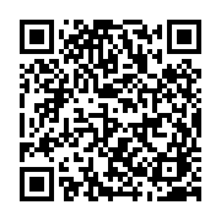 QR code for E29PUC