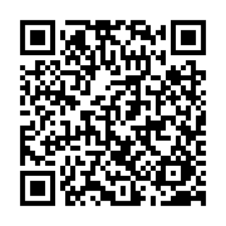 QR code for E333RO