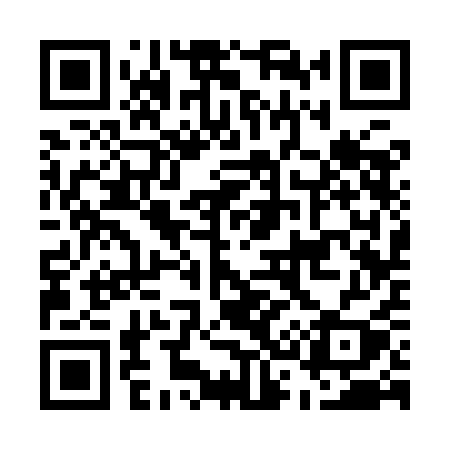 QR code for E339AY