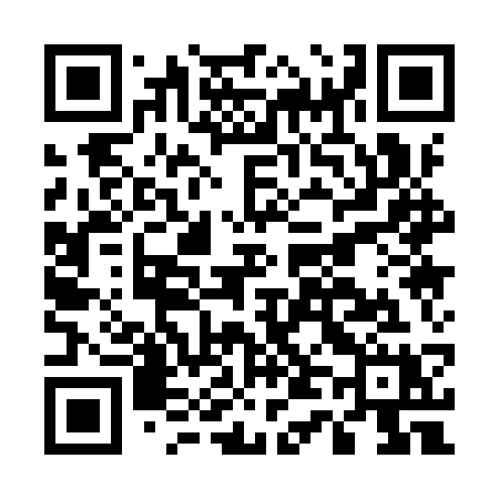 QR code for E419SX