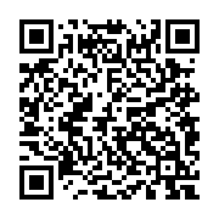 QR code for E460IN