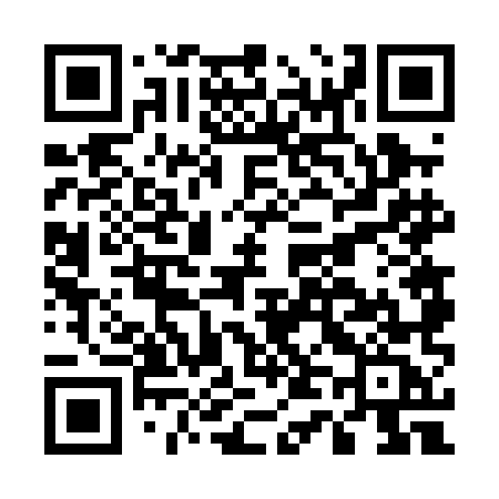 QR code for E460MC