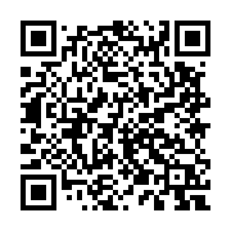 QR code for E5955P