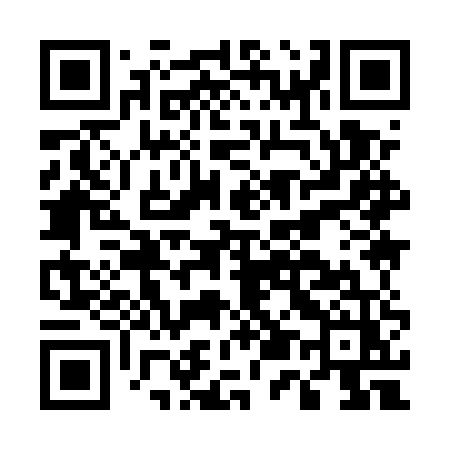 QR code for E595UZ