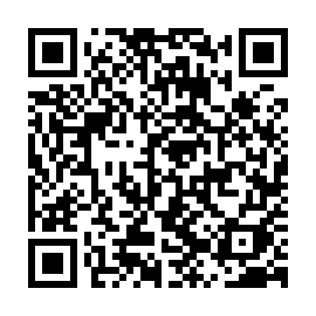 QR code for EZV95I