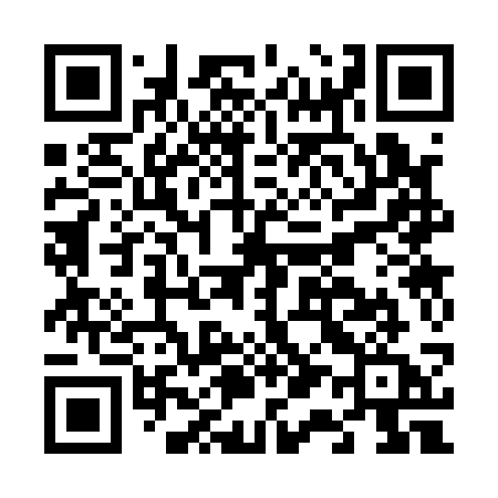 QR code for F1313A