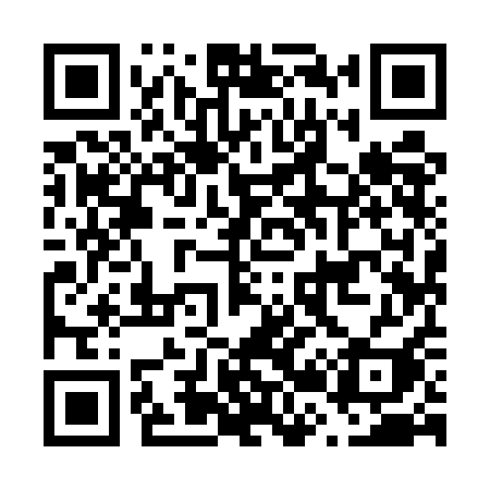 QR code for F295AI