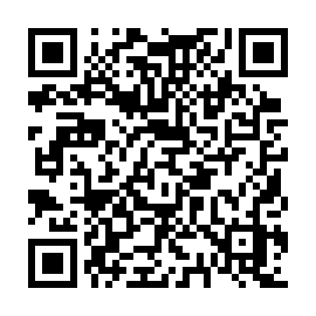 QR code for F313PZ