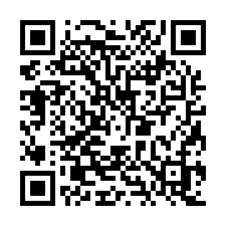 QR code for FI313J