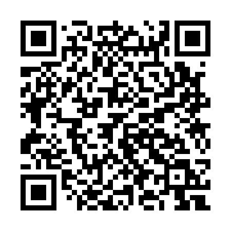 QR code for FI313L
