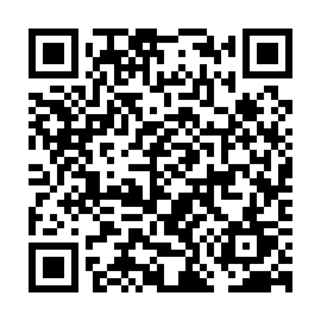 QR code for FO313T