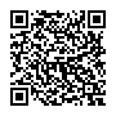 QR code for FT393S