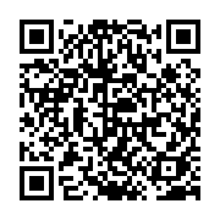 QR code for FV911H