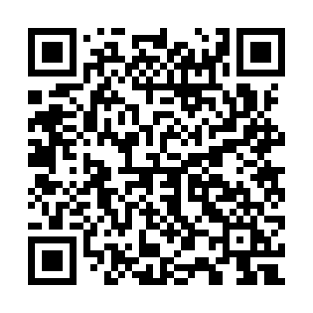 QR code for G029VI