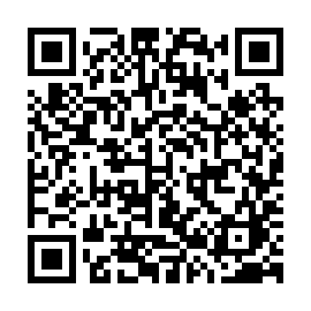 QR code for G2729C