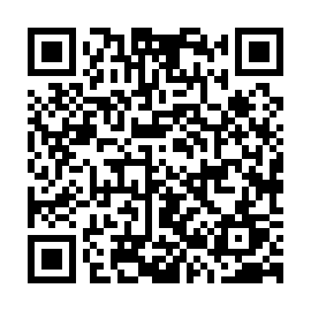 QR code for G2813T