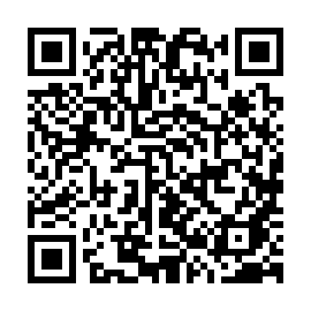 QR code for G2838A