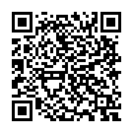 QR code for G2951P