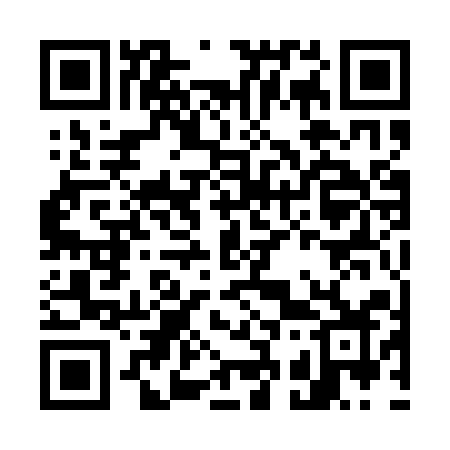 QR code for G311QZ