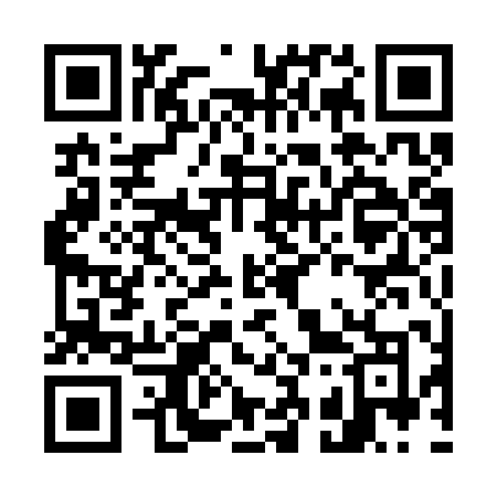 QR code for G313PO