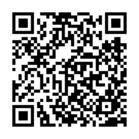 QR code for G376IN