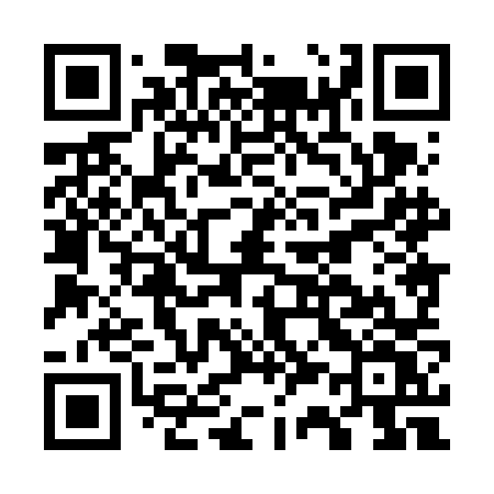 QR code for G386NV