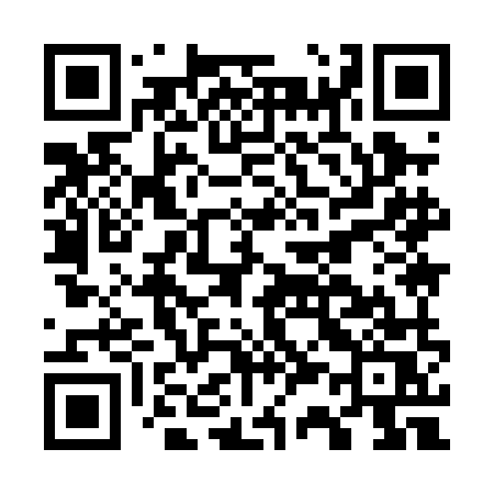 QR code for G390MS