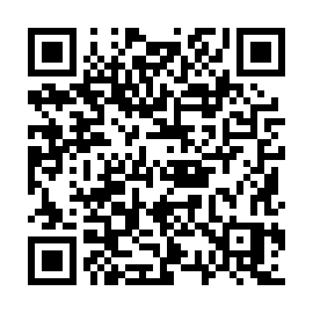 QR code for G390XS