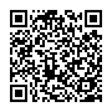QR code for G4161E
