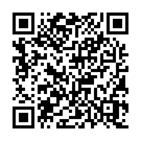 QR code for G4513V