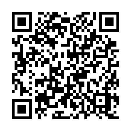 QR code for G463KZ