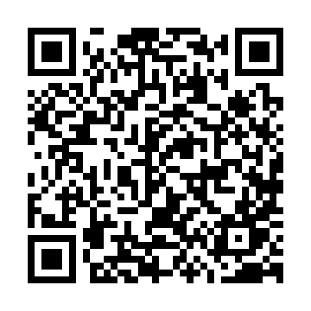 QR code for G6838T