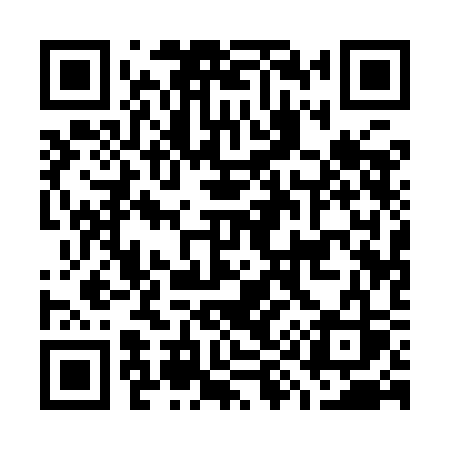 QR code for G919CS