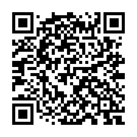 QR code for G91UDI