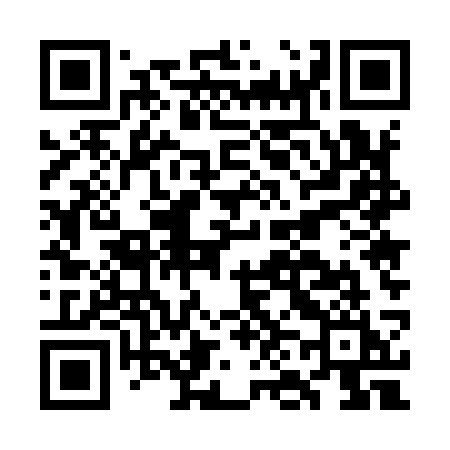 QR code for GN593I