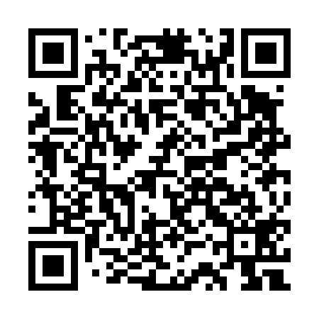 QR code for GSSD19