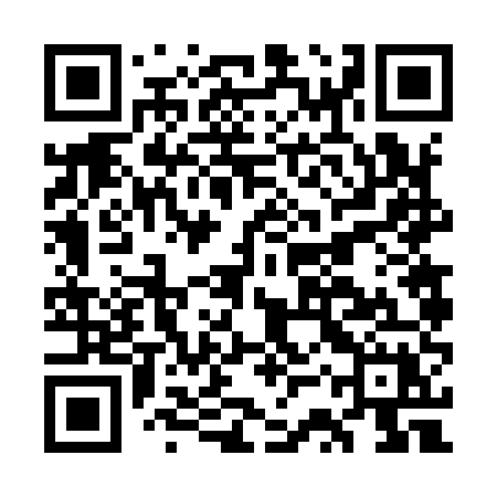 QR code for GSV95X