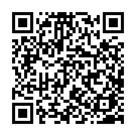 QR code for H009ZA