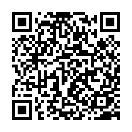 QR code for H0105U