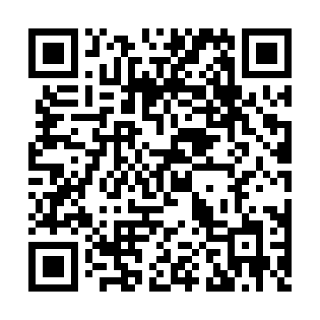 QR code for H010XJ