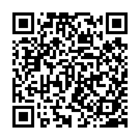 QR code for H0369K